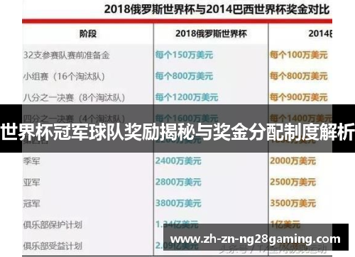 世界杯冠军球队奖励揭秘与奖金分配制度解析