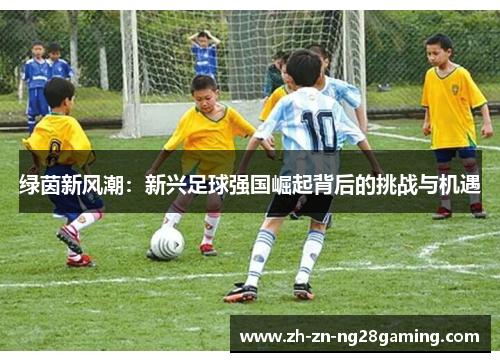 绿茵新风潮：新兴足球强国崛起背后的挑战与机遇