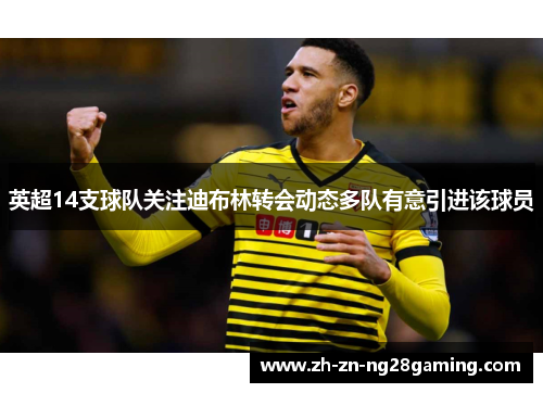 英超14支球队关注迪布林转会动态多队有意引进该球员