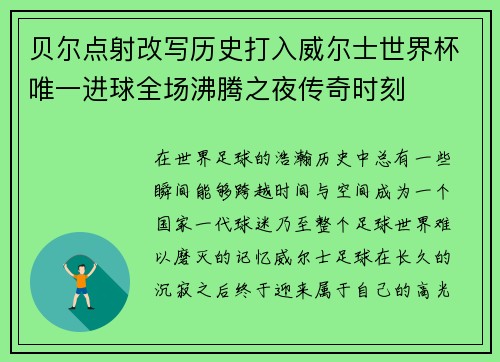贝尔点射改写历史打入威尔士世界杯唯一进球全场沸腾之夜传奇时刻